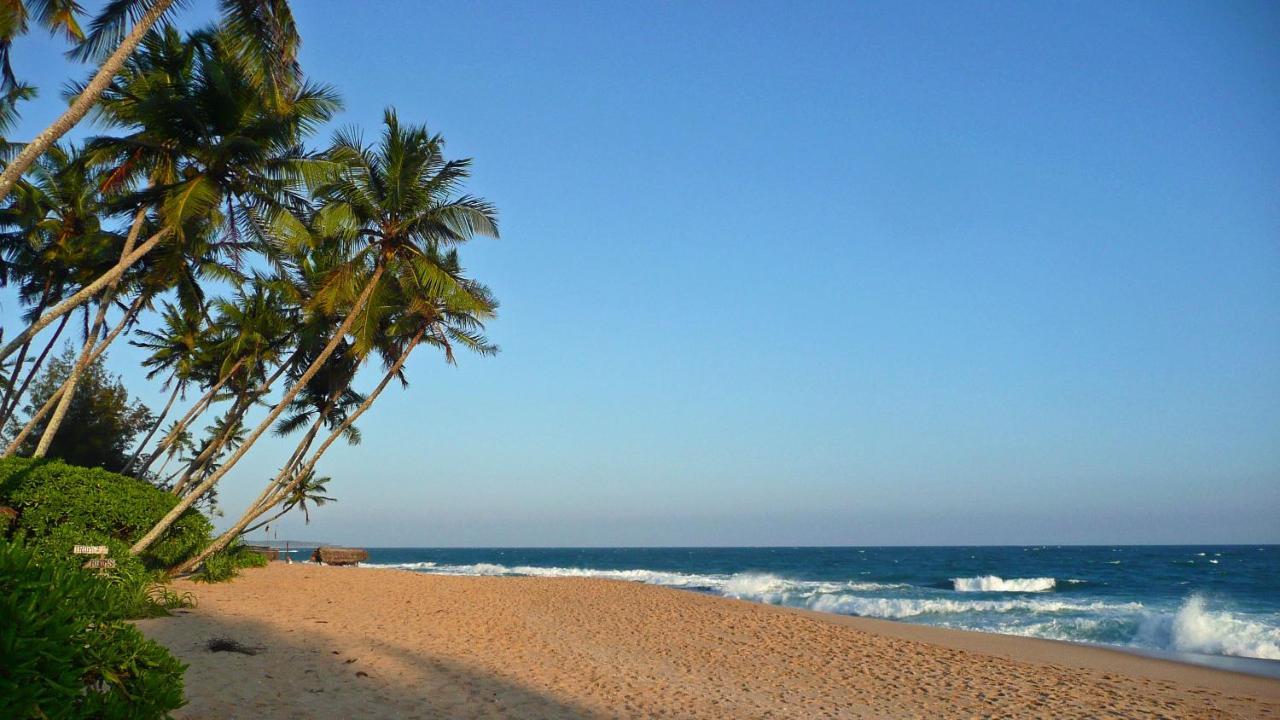 דירות טנגלה Tropical Garden מראה חיצוני תמונה