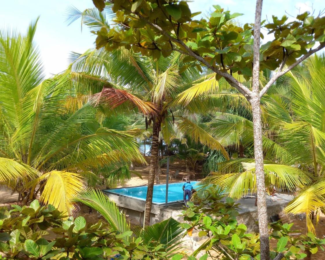 דירות טנגלה Tropical Garden מראה חיצוני תמונה