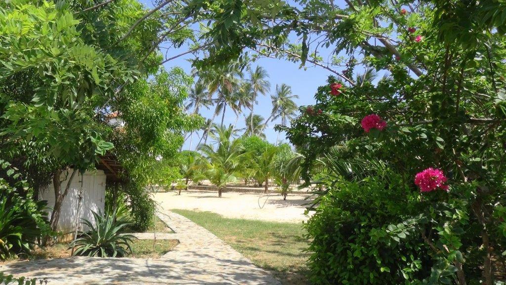 דירות טנגלה Tropical Garden חדר תמונה